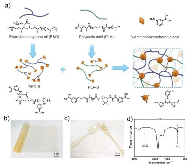 吉林大学开发生物基超分子塑料：环氧大豆油和聚乳酸共聚物ESO-PLA！