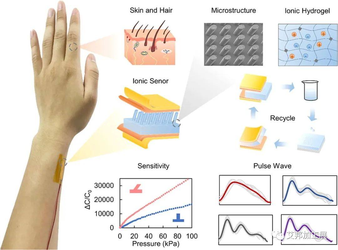 我国科学家设计出基于毛发状微结构的高灵敏脉搏监测柔性可穿戴传感器