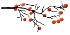 什么技術(shù)能讓陶瓷基板與金屬中實(shí)現(xiàn)強(qiáng)強(qiáng)聯(lián)合組合？