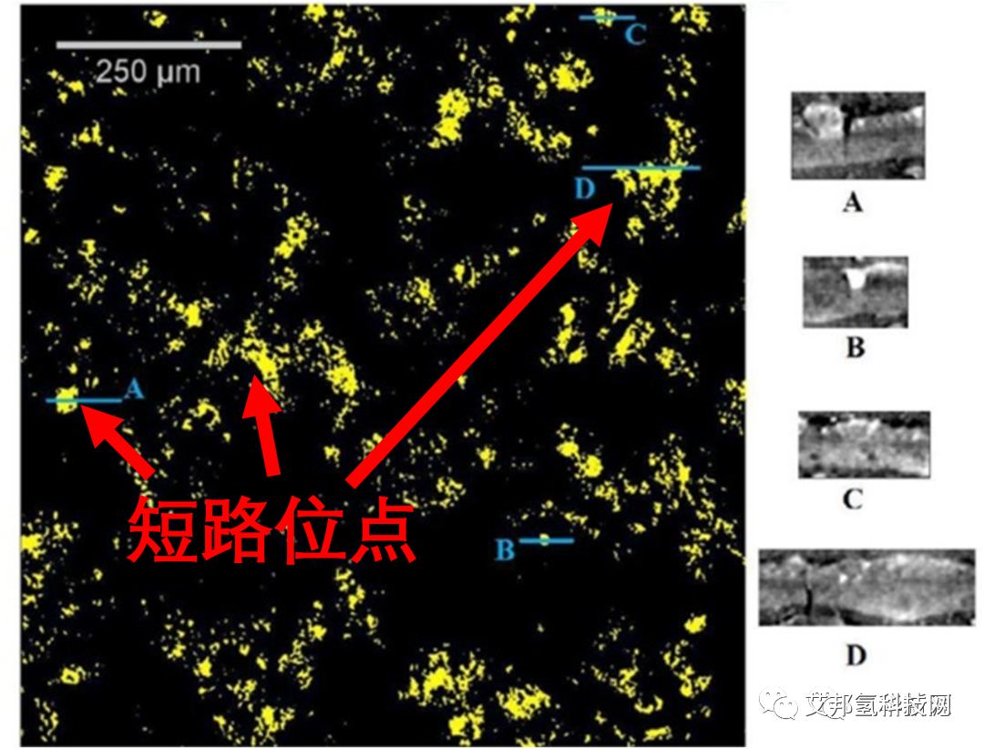 氢燃料电池膜电极电化学参数及检测方法的比较