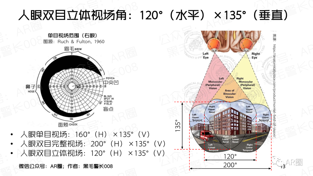 行业聚焦｜MicroOLED For AR/VR 洞察报告