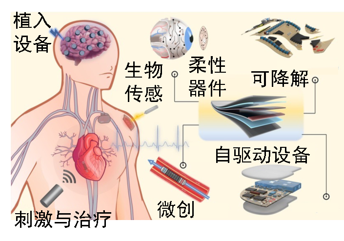 赋能医药器械：90后首席科学家与他的柔性电子材料