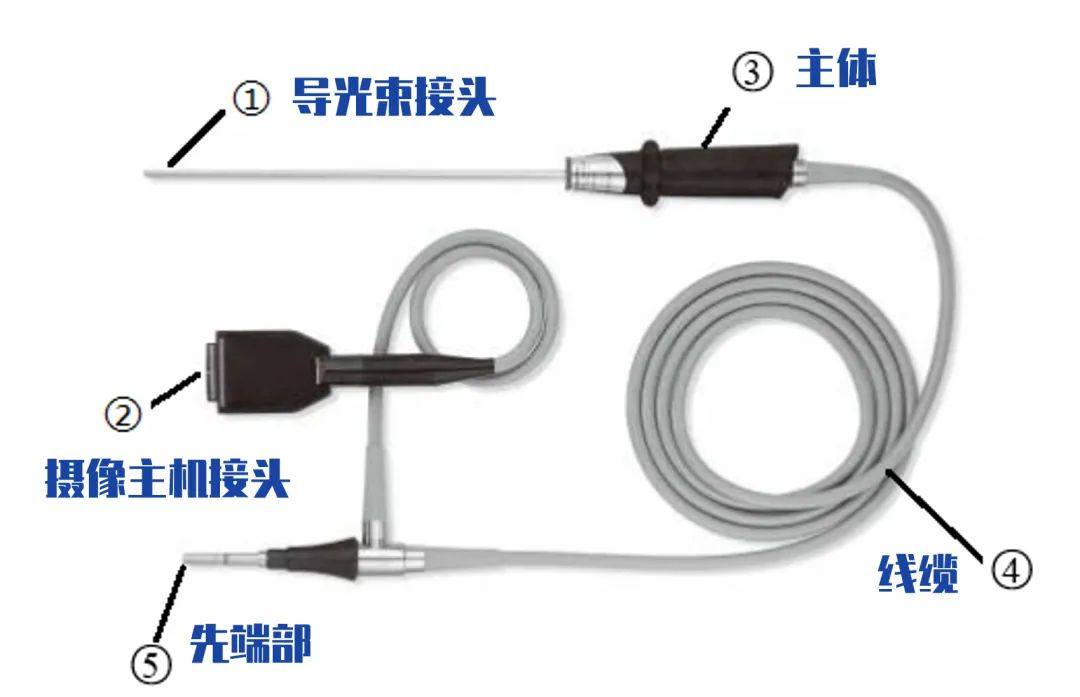 会“七十二变”的内窥镜