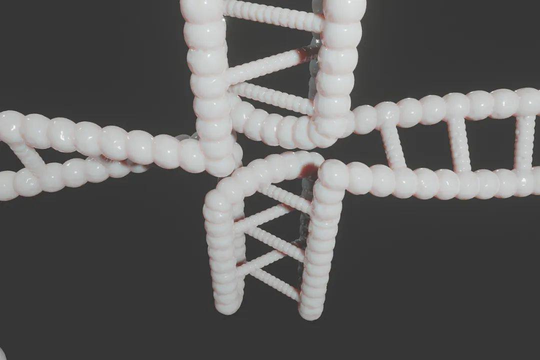 3D打印PEEK及復合材料在口腔醫(yī)學領(lǐng)域的研究進展 3D打印PEEK及復合材料在口腔醫(yī)學領(lǐng)域的研究進展