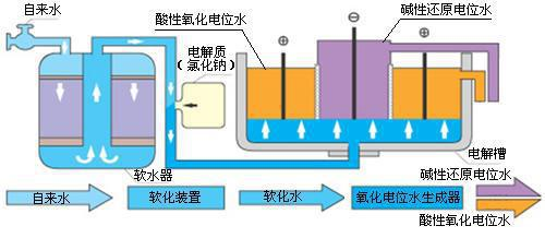 内窥镜常用消毒剂及其杀菌机制的探讨