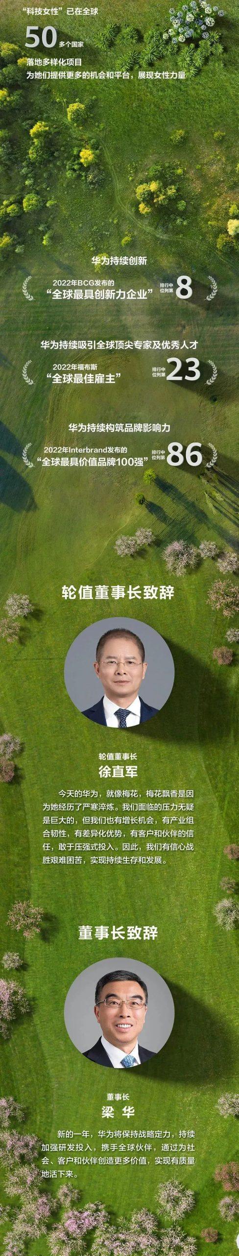 一图看懂华为2022年年报