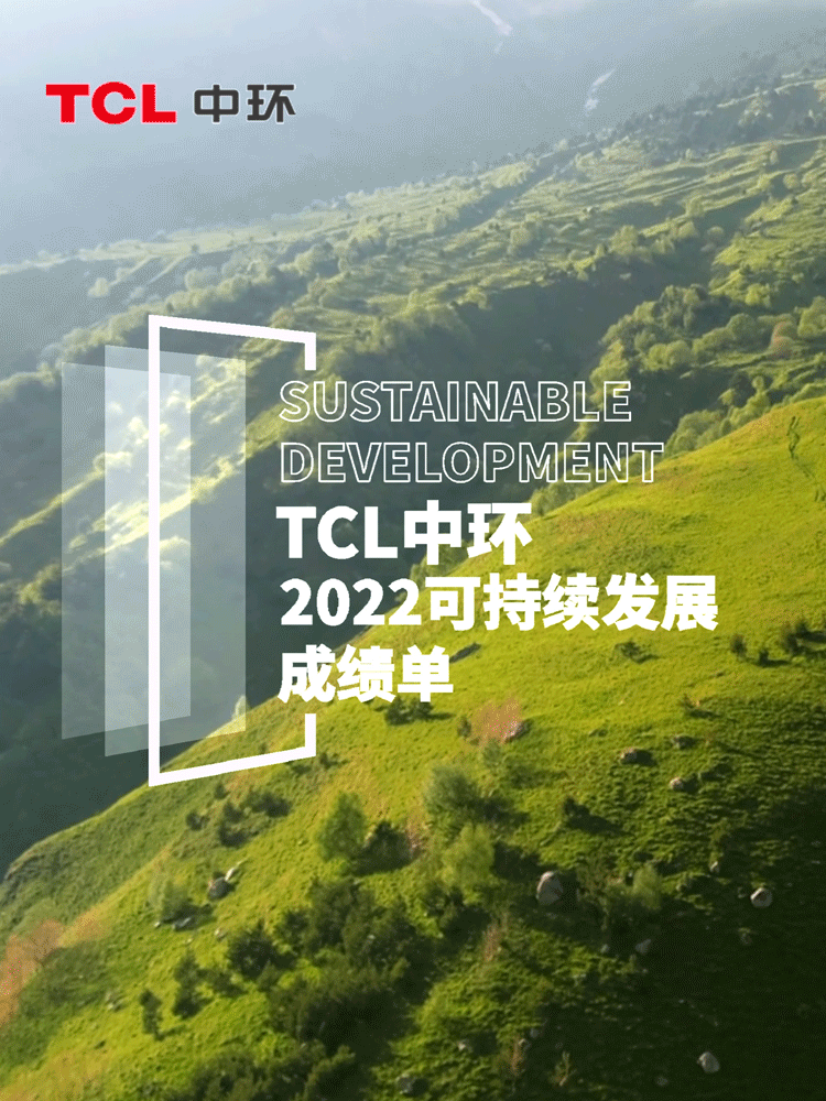 一图看懂TCL中环2022年年报