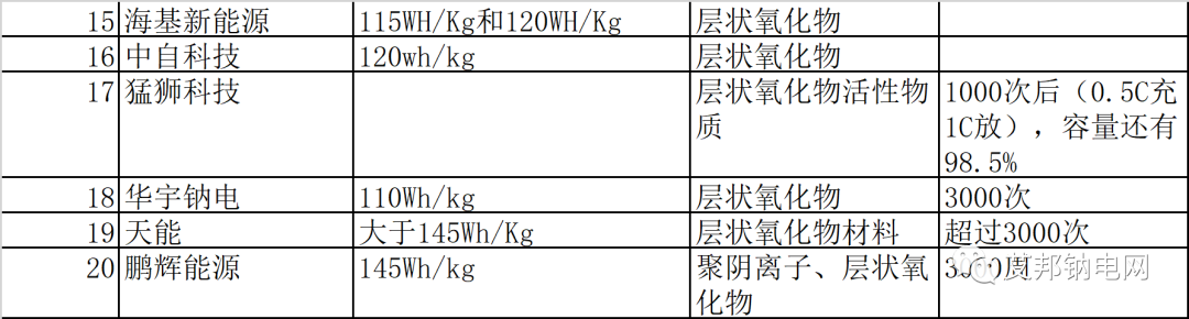 鈉離子電池量產元年，20家企業數據簡報.xls