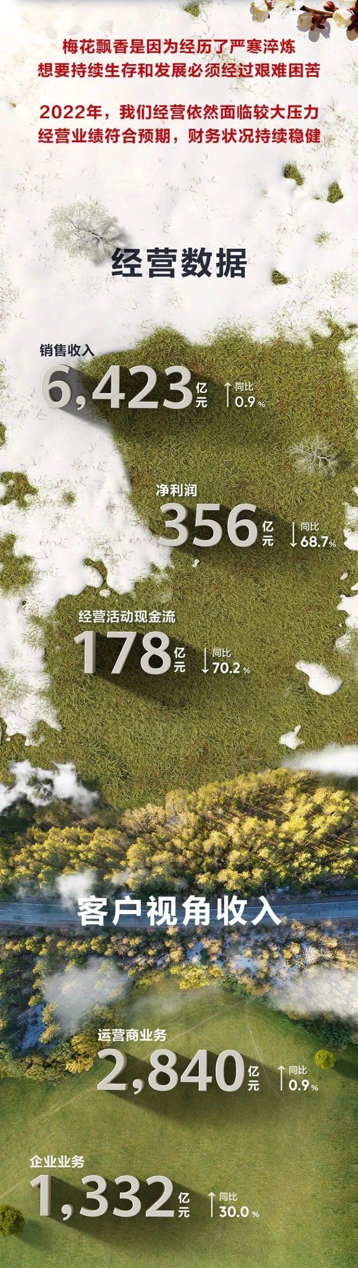 一图看懂华为2022年年报