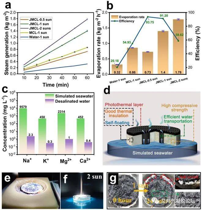 《JCIS》北林马明国：高效脱盐能力气凝胶用于太阳能驱动界面水蒸发