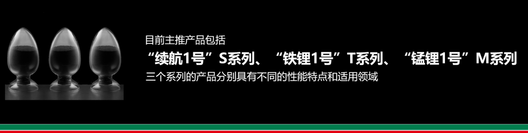 龙蟠科技印尼锂源一期3万吨磷酸铁锂项目正式开工