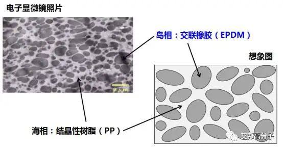 TPEE、TPU、TPV的性能及应用对比