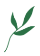 工商業(yè)儲(chǔ)能系統(tǒng)供應(yīng)商「星光微網(wǎng)」完成近億元天使輪融資,高瓴創(chuàng)投領(lǐng)投 工商業(yè)儲(chǔ)能系統(tǒng)供應(yīng)商「星光微網(wǎng)」完成近億元天使輪融資,高瓴創(chuàng)投領(lǐng)投