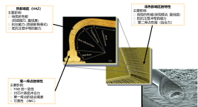 高可靠性键合金线-RelMax介绍