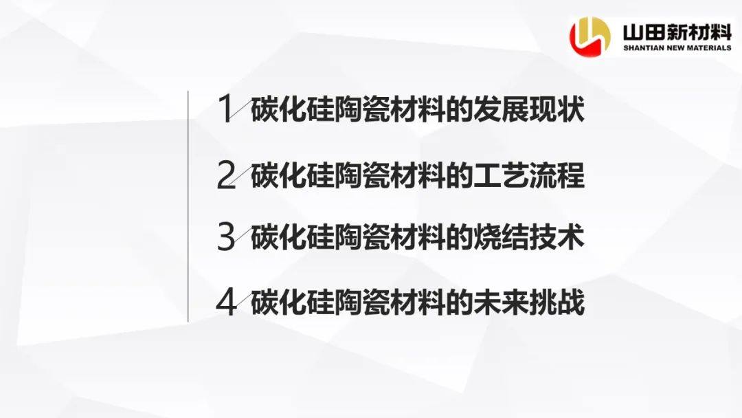 山田新材料公司专场会议，探讨碳化硅陶瓷材料的烧结工艺及研究进展