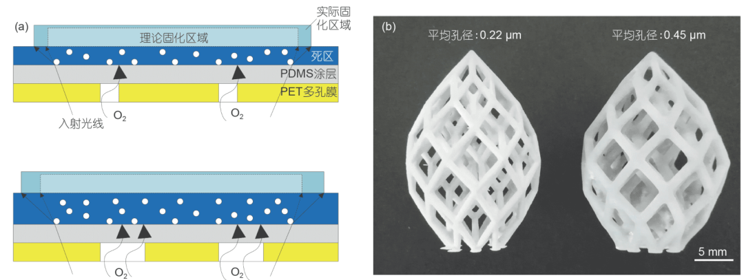 连续面曝光陶瓷 3D 打印新工艺