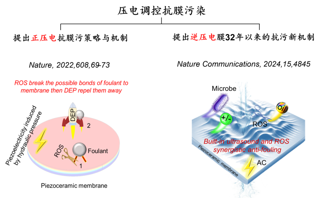 东南大学能源与环境学院赵阳研究员在《Nature Communications》上发表逆压电抗膜污染方面的最新研究成果