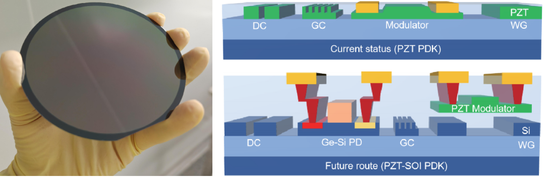 半导体所在PZT光电子材料与器件领域取得重大突破